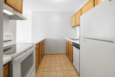 Kirchoff Meadows unit 306, Rolling Meadows, IL 60008 - photo 4