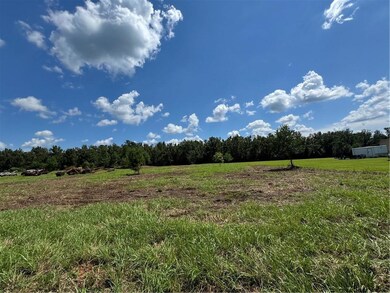 5.5 Acres Eaglesnest Ln, Franklinton, LA 70438 - photo 4