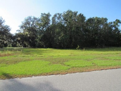 Lot 246 Eagle Cir, Townsend, GA 31331 - photo 3