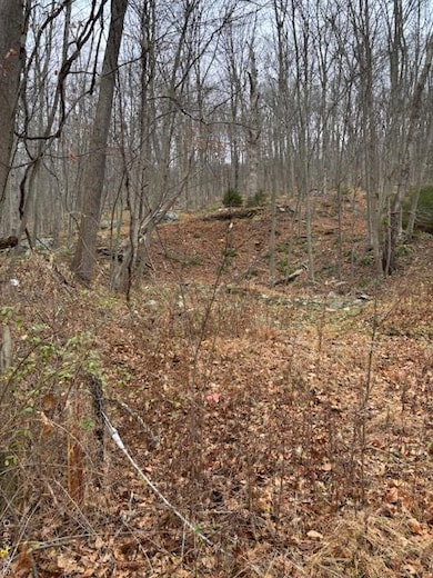 82 Wiccopee Rd, Putnam Valley, NY 10579 - photo 5