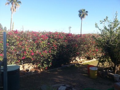 jobstfrontyard