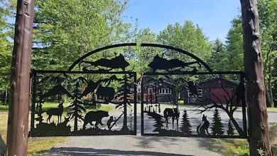 Carousel Image