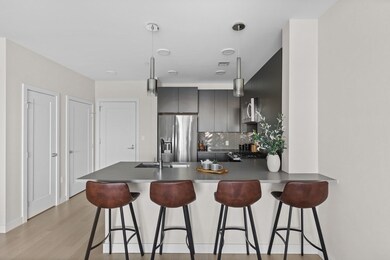 65 Lewis St unit 509, Boston, MA 02128 - photo 7
