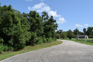 0 Colony unit 35802156, Angleton, TX 77515 - photo 5