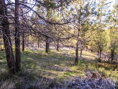 0 Pearson Butte unit Lot 16 220198014, Keno, OR 97627 - photo 4