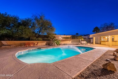 Twilight Backyard