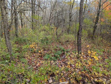 0 Ryan Rd, Williamstown, NY 13493 - photo 2