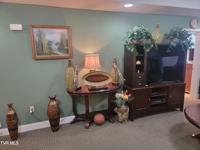 210 Raceday Center Dr unit 1505, Bristol, TN 37620 - photo 7