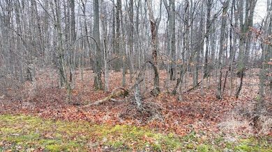 5668 St Rt 288 Lot B, Galion, OH 44833 - photo 4