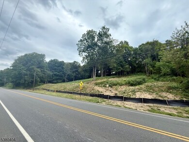 111 Munsonhurst Rd, Franklin Boro, NJ 07416 - photo 4