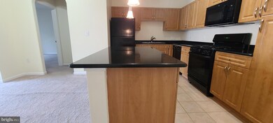 12900 Centre Park Cir unit 303, Herndon, VA 20171 - photo 4