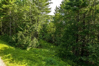 06 Turtle Hill Rd unit 6, Ludlow, VT 05149 - photo 6