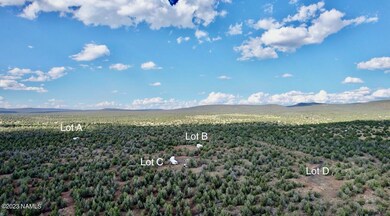 Lot B