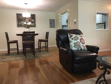 17 Cass St unit 5, West Roxbury, MA 02132 - photo 4