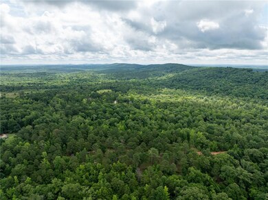 Bird's eye view of a heavily wooded area