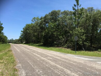 Optional lot picture