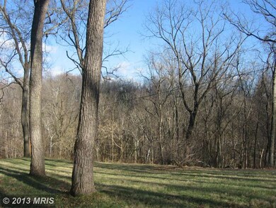 4875 River Rd, Shepherdstown, WV 25443 - photo 6