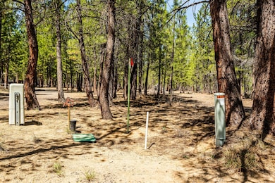 15-web-or-mls-4-28-25 51861 Knob Cone La