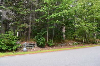 0 Union St, Ellsworth, ME 04605 - photo 4