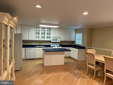 4550 Chaucer Way unit 305, Owings Mills, MD 21117 - photo 6