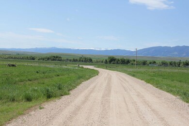 Lot View 5