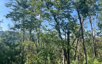 Additional View