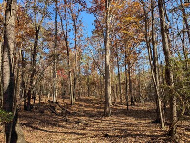 0 Baron Dekalb Rd, Camden, SC 29020 - photo 6