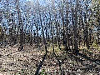 00 Winthrop St & E Elm St, Torrington, CT 06790 - photo 2