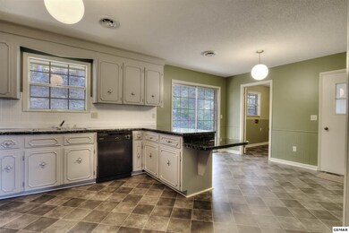 3209 Wilson St, Pigeon Forge, TN 37863 - photo 6