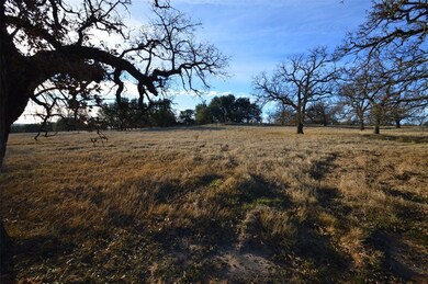 508 Dually Trail, Weatherford, TX 76087 - photo 6