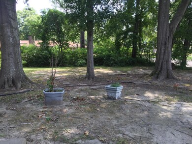 Landscaped Yard