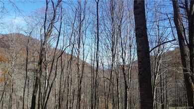 0 Wolf Laurel Heights unit Lot 12 3451434, Burnsville, NC 28714 - photo 3