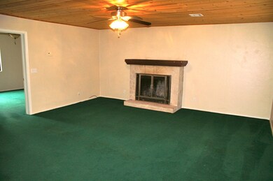 3265 N Fuller Dr, Pine, AZ 85544 - photo 5