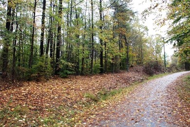 7459 Melissa Ln, Williamsburg, VA 23188 - photo 2