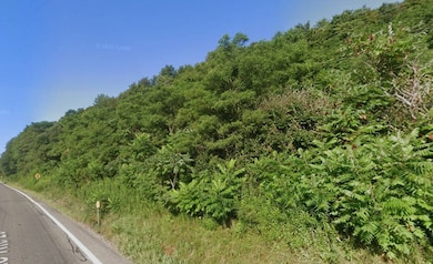 0WP State Hwy 26, Georgetown, NY 13072 - photo 7