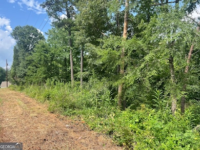 0 College View Dr SW unit 10655483, Rome, GA 30161 - photo 2