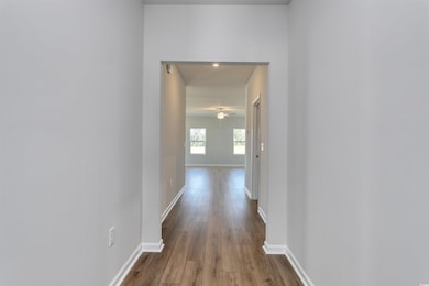 409 Meadow Sweet Place, Conway, SC 29526 - photo 3