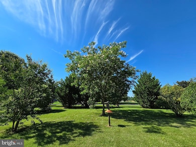 28740 Jacks Field Rd, Wye Mills, MD 21679 - photo 6