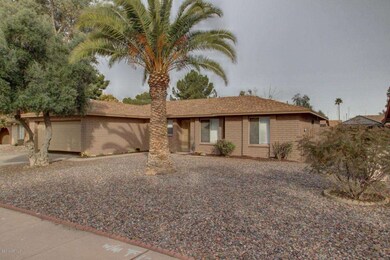 Low maintenance pristine yard