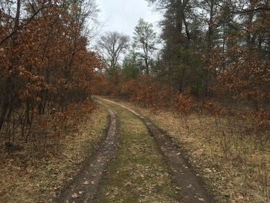 Taghon Drive