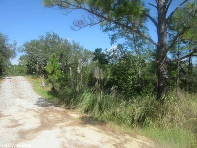 Driveway Not part of Lot...shows elevation change.