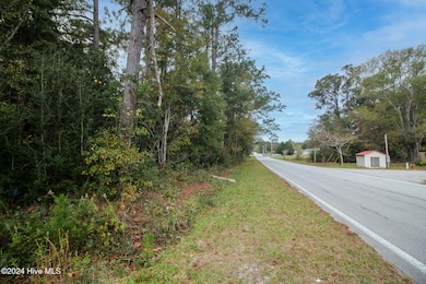 861 Roberts Rd, Newport, NC 28570 - photo 3