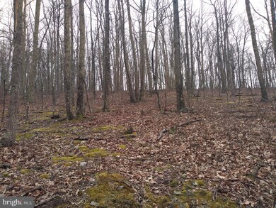 6.42 ACRES Mount Top Rd, Lost River, WV 26810 - photo 5