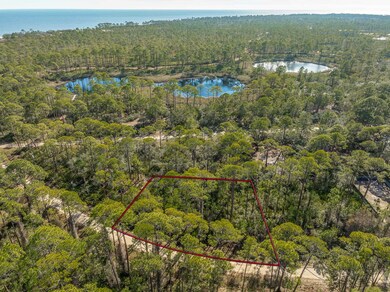 86 Lake View Dr, Bald Point, FL 32346 - photo 4