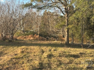 8893 Sunbury Rd, Claxton, GA 30417 - photo 3