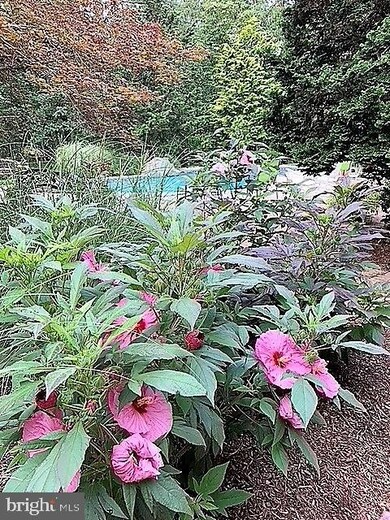 9 Eton Ln, Medford, NJ 08055 - photo 7