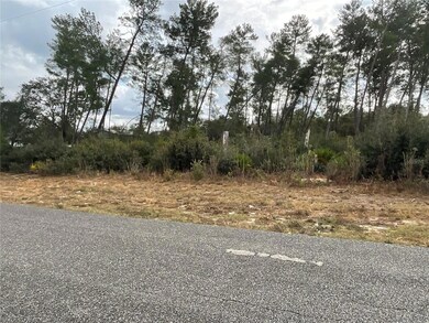 TBD SW 110th Ln, Ocala, FL 34476 - photo 4