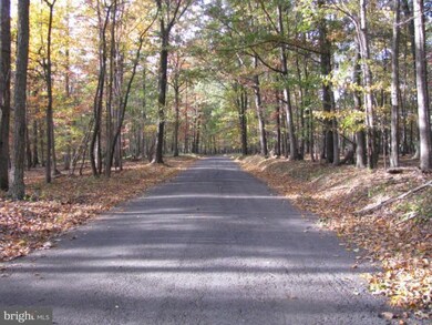 0 Spring Gap Rd unit 1004622236, Slanesville, WV 25444 - photo 3