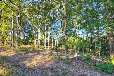 1 Highway 232, Stewart, TN 37175 - photo 4