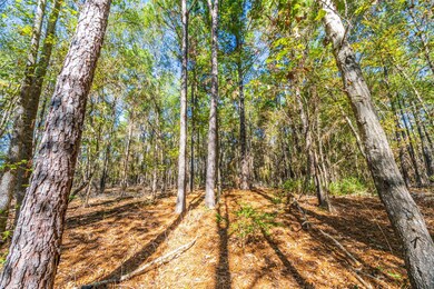 00 County Road 163, Elkhart, TX 75839 - photo 6